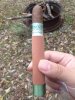 CAO Flavors -- Eileen's Dream.JPG