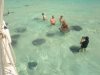 stingray city.jpg