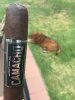 Camacho Triple Maduro.JPG