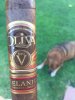 Olvia V Melanio 2.JPG