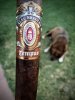 Alec Bradley Tempus.JPG