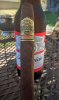 Ashton VSG 50th.JPG