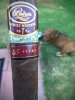 Padron Family Reserve 45 years.JPG