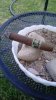 cigar review pics oliva habano 004.jpg