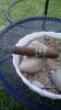 cigar review pics oliva habano 005.jpg