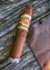 Arturo-Fuente_Rosado_Magnum_R58_600.jpg