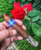 Cohiba_Blue_cruise_584.jpg