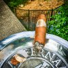 Undercrown_Shade_Flying_Pig_lit_700.jpg