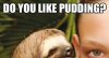 12-Funny-Rape-Sloth-Memes-That-Will137121841498580629.jpg