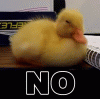 Duckno.gif