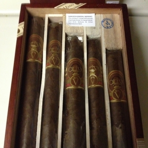 Oliva Sampler 004