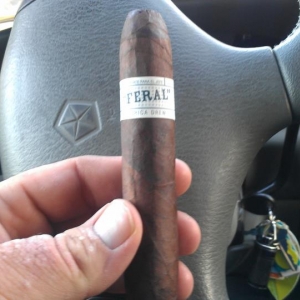 lp feral flying pig