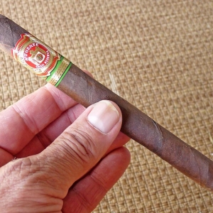 A Fuente Privada #1 Review