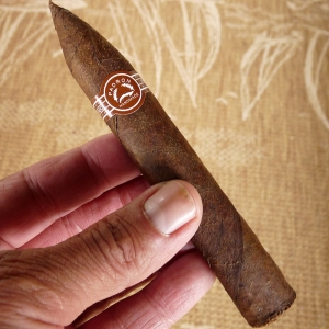 Padron #6000 Torpedo Maduro