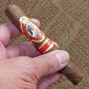 God of Fire by Don Carlos 2007 Robusto