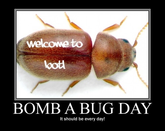 Bomb a bug Day