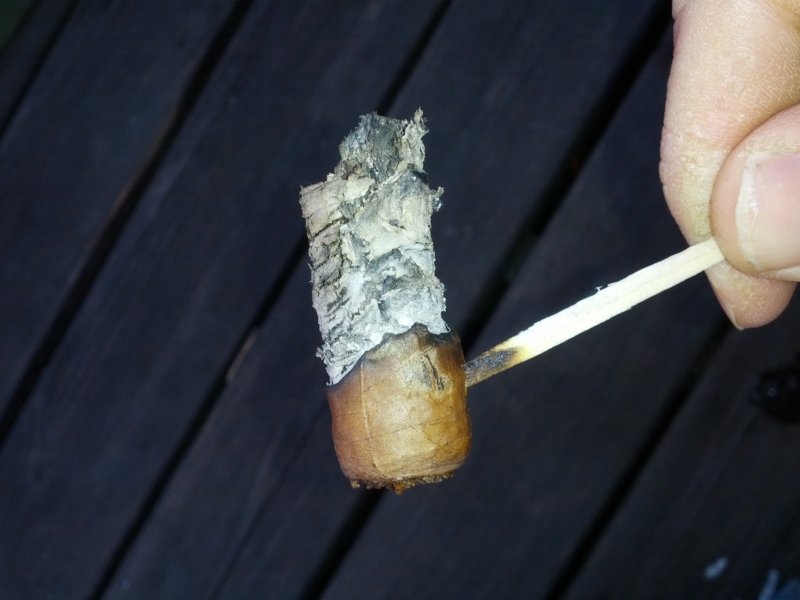 Cohiba Siglo IV 07 Nub