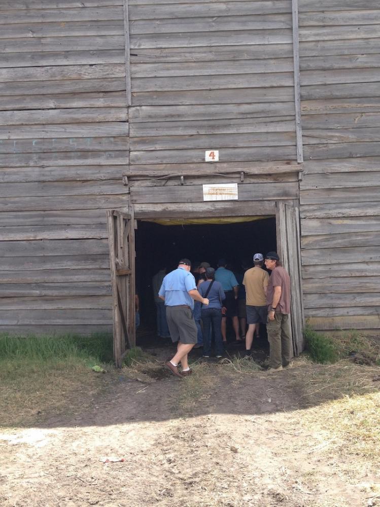 Curing barn at Padron