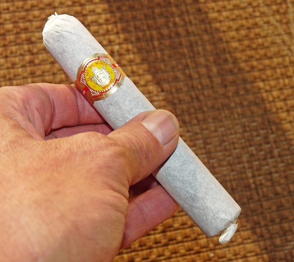 El Rey del Mundo Robusto Oscuro