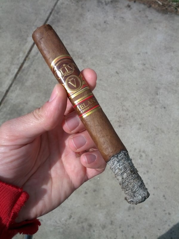 Oliva Serie V Melanio