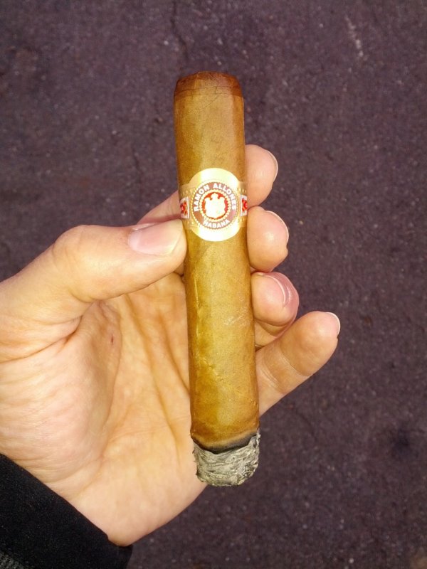 Ramon Allones Specially Selected 12