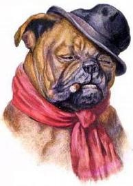 vintage dog art bulldog smoking a cigar wearing a black hat